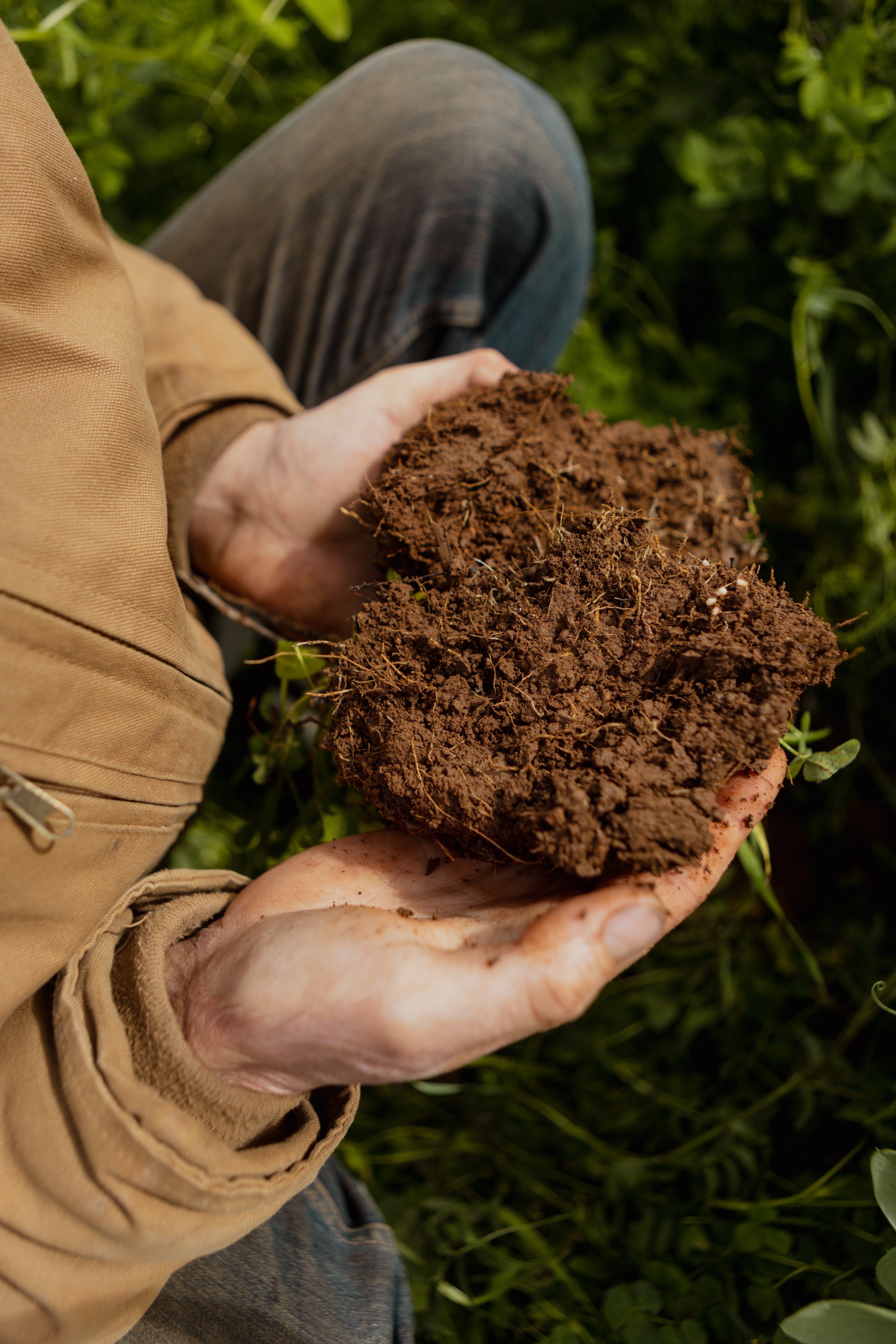 Sea-90 Agriculture Soil Mineraliser+