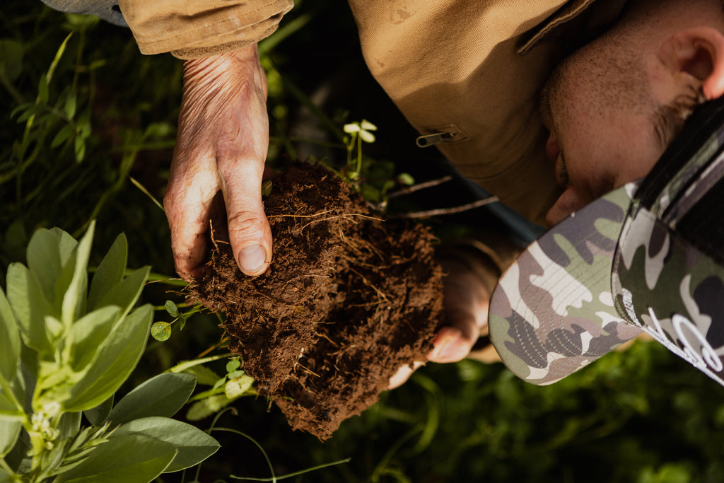 Hands holiding soil.